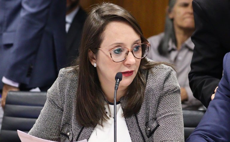 Projeto permite dedução do Imposto de Renda de gastos com saúde de animais domésticos