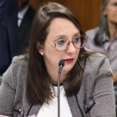 Projeto permite dedução do Imposto de Renda de gastos com saúde de animais domésticos